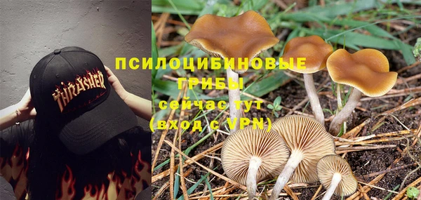 прущая мука Армянск