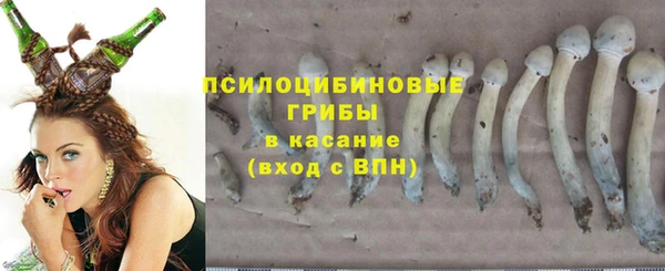 марки nbome Аркадак