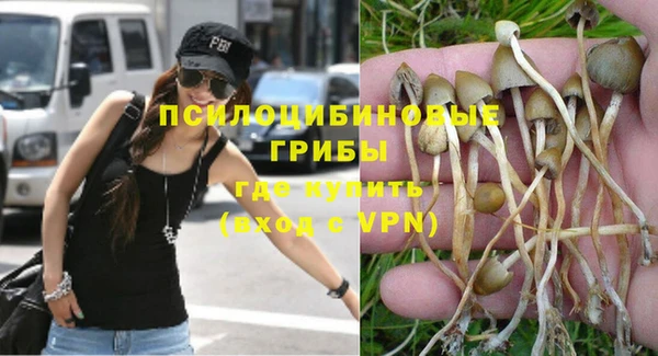 марки nbome Аркадак