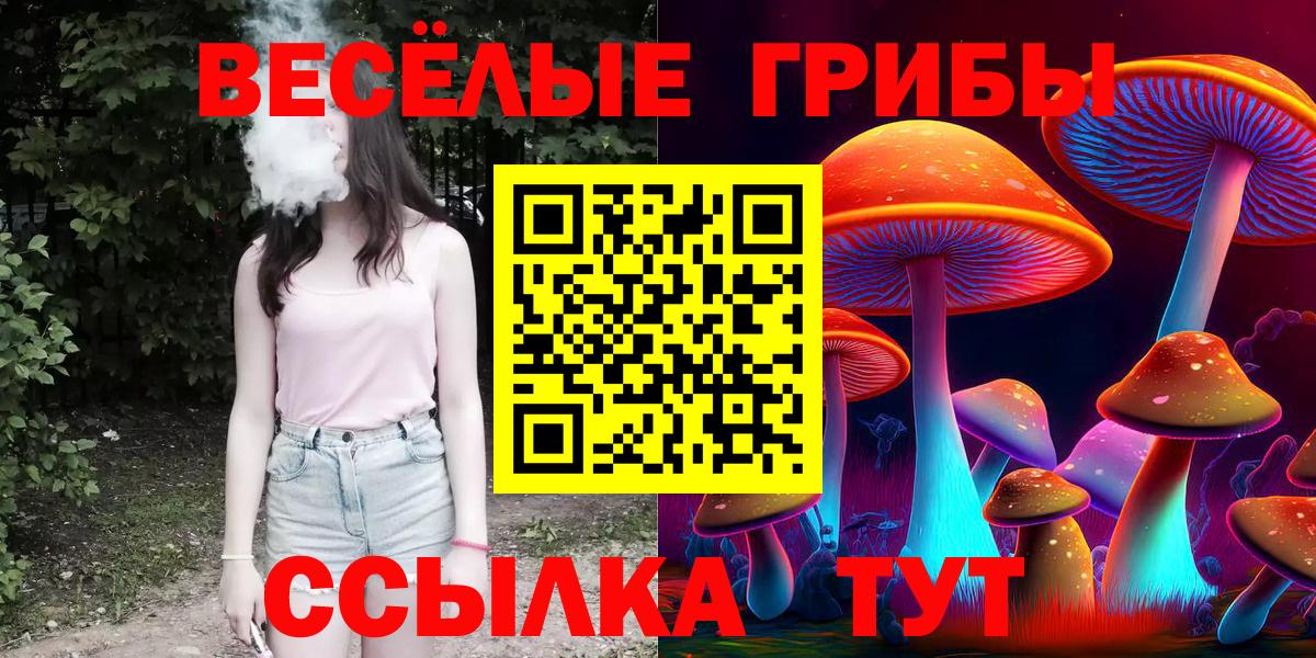 Галлюциногенные грибы Magic Shrooms  Галлюциногенные грибы прущие грибы  Вход с VPN  Междуреченск 